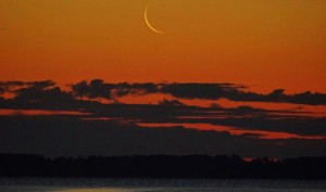 Crescent Moon 2014 - Seattle Astrology