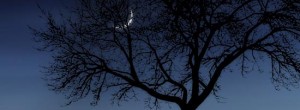 New Moon astrology over Seattle, WA