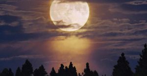 Full Moon Eclipse Photo