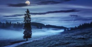 Full Moon Photograph on a Misty Solstice Night